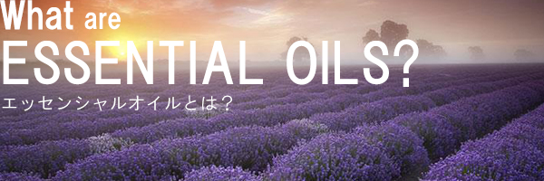What are ESSENTIAL OILS