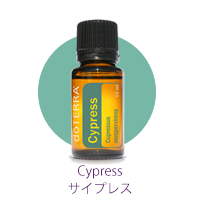 Cypress02